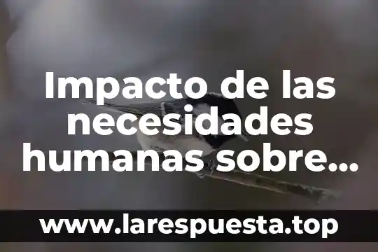 Necesidades e intereses sociales que es 8 Impacto de las necesidades humanas sobre la naturaleza que es