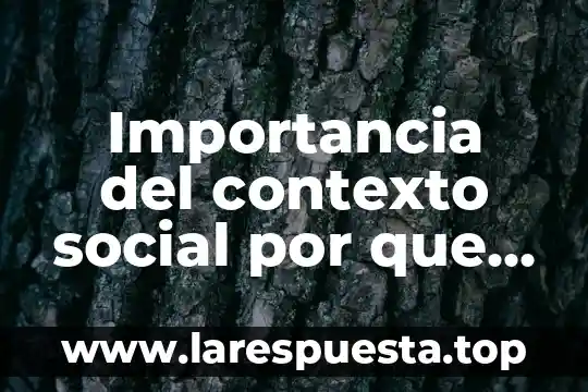 Importancia del contexto social por que es importante