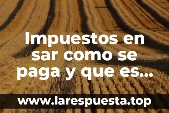 Que es costo que es gasto 7 Impuestos en sar como se paga y que es gasto
