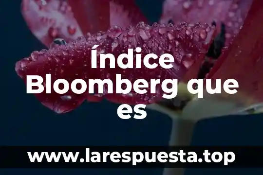 Índice Bloomberg que es