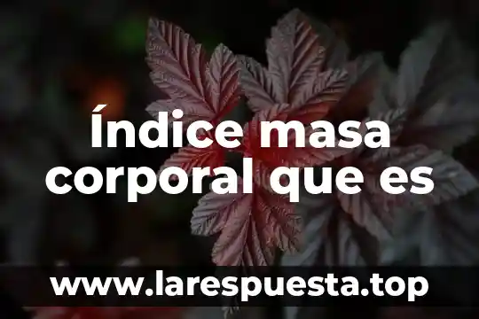 Que es movimiento corporal humano 8 Índice masa corporal que es
