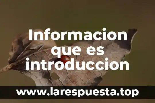 Que es una cedulas de informacion 5 Informacion que es introduccion