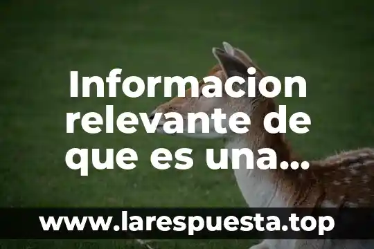 Informacion relevante de que es una llanura
