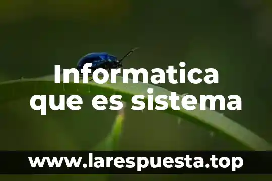 Informatica que es sistema
