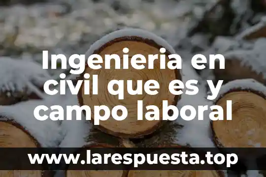 Qué es el derecho internacional y campo laboral 4 Ingenieria en civil que es y campo laboral