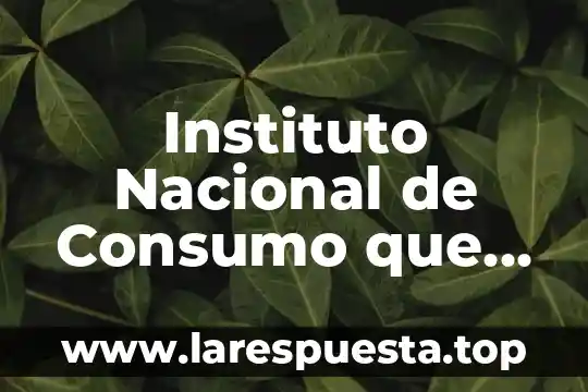 Instituto Nacional de Consumo que es