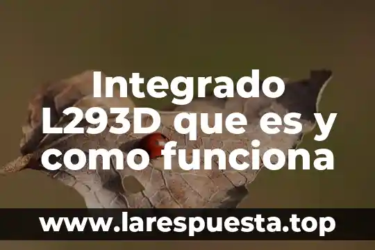 Integrado 7432 que es 7 Integrado L293D que es y como funciona
