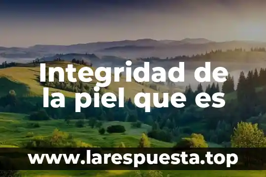 Integridad de la piel que es