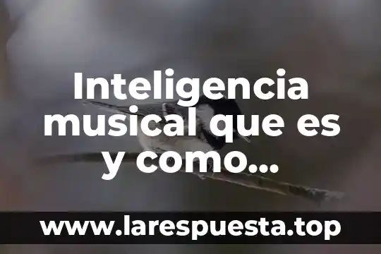 Inteligencia musical que es y como mejorarla