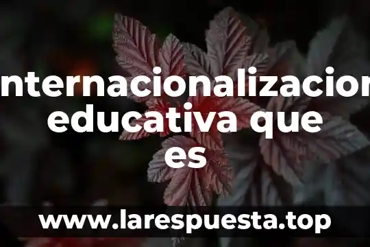 Internacionalizacion educativa que es