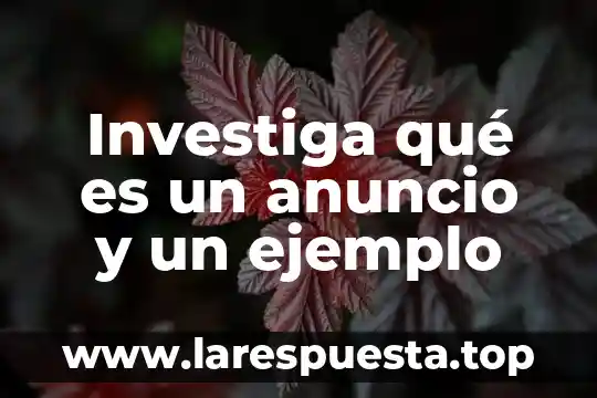 Investiga qué es un anuncio y un ejemplo