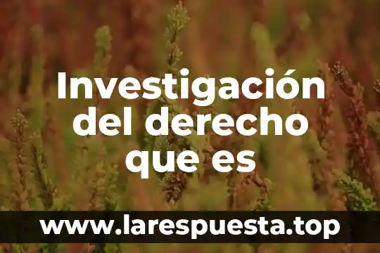 Investigación del derecho que es