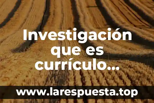 Investigación que es currículo tareas el significado