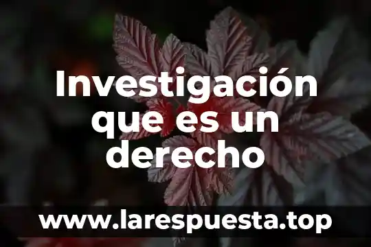 Investigación que es un derecho