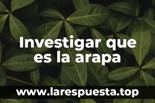 Investigar que es peso 3 Investigar que es la arapa