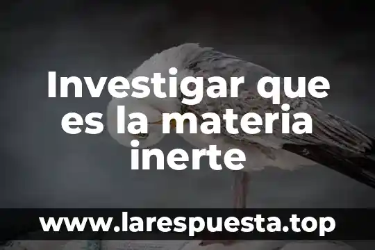Investigar que es italies de 5 Investigar que es la materia inerte