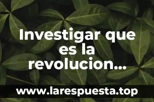 Que es introduccion del proyecto de la revolucion mexicana 6 Investigar que es la revolucion mexicana