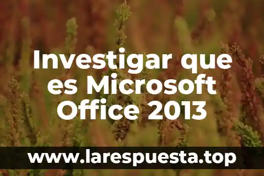 Investigar que es Microsoft Office 2013