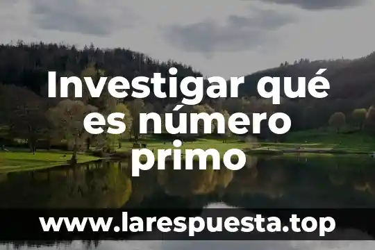 Investigar qué es número primo