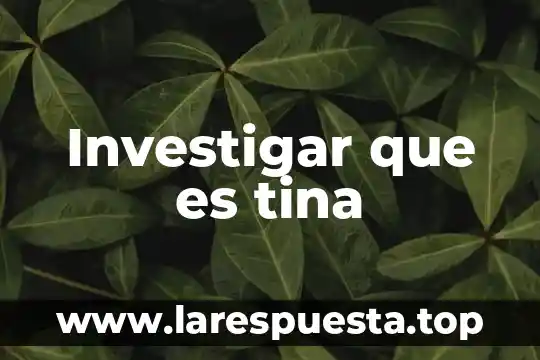 Investigar que es tina