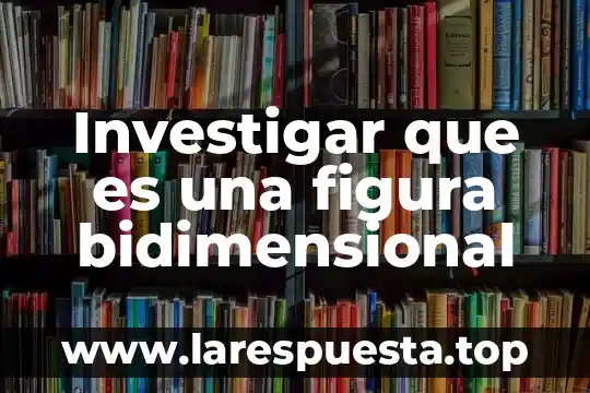 Investigar que es una figura bidimensional