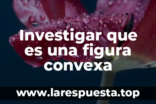 Investigar que es una figura convexa