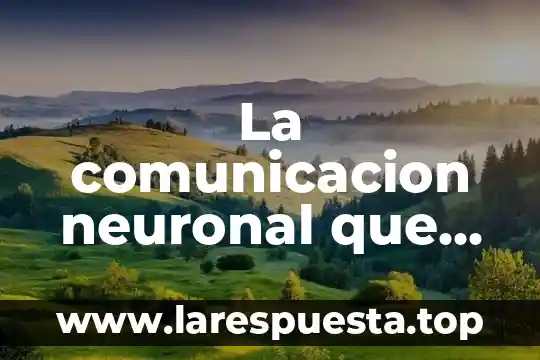 La comunicacion neuronal que es