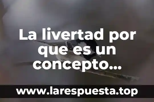 La livertad por que es un concepto universal