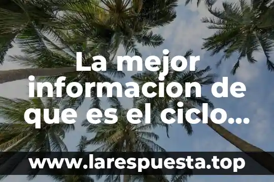 La mejor informacion de que es el ciclo del agua