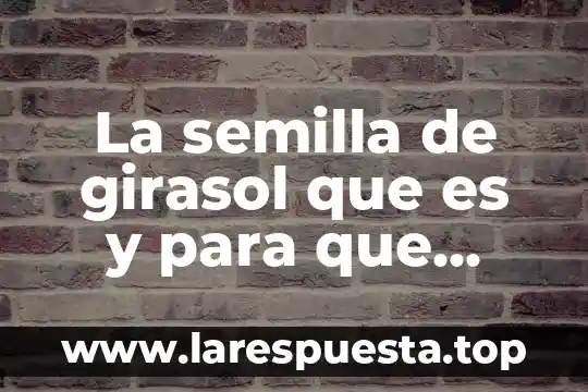 Que es ortiga para que sirve 8 La semilla de girasol que es y para que sirve