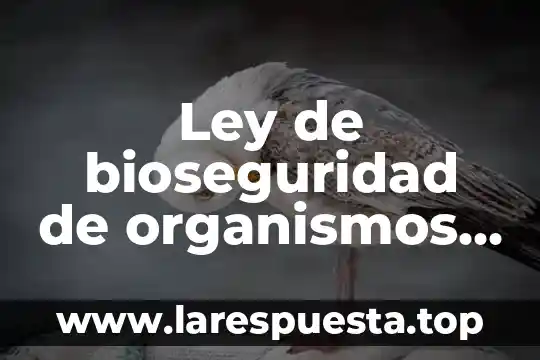 Que es la violencia segun la ley 6 Ley de bioseguridad de organismos genéticamente modificados que es