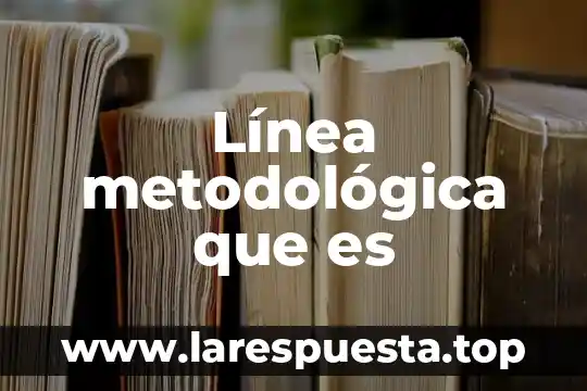 Línea metodológica que es
