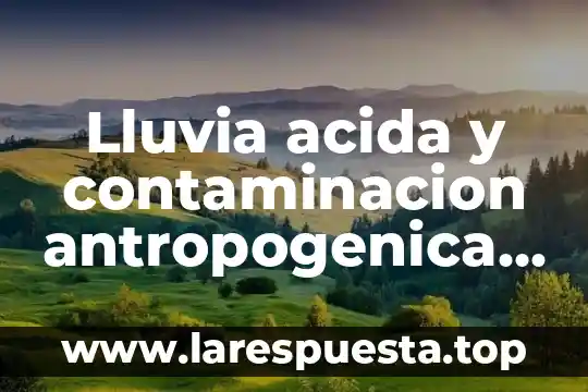 Por que es alarmante la lluvia acida 7 Lluvia acida y contaminacion antropogenica que es