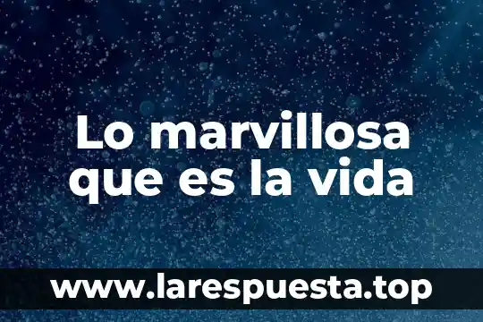 Qué es el treyecto de vida 7 Lo marvillosa que es la vida