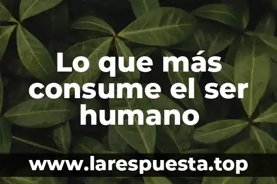 Lo que más consume el ser humano