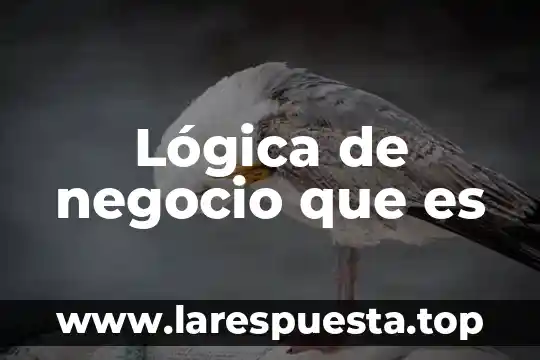 Lógica de negocio que es
