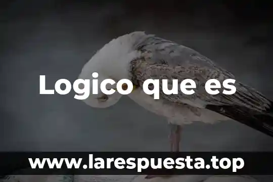 Que es un bloque logico informatica 6 Logico que es