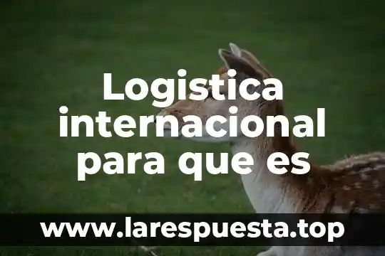 Qué es un inventario según la logística 7 Logistica internacional para que es