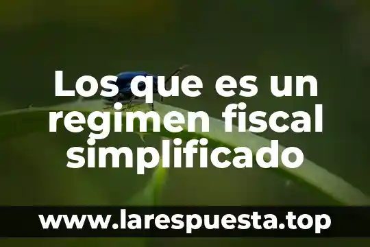 Que es el regimen de incorporacion fiscal ejemplo 6 Los que es un regimen fiscal simplificado