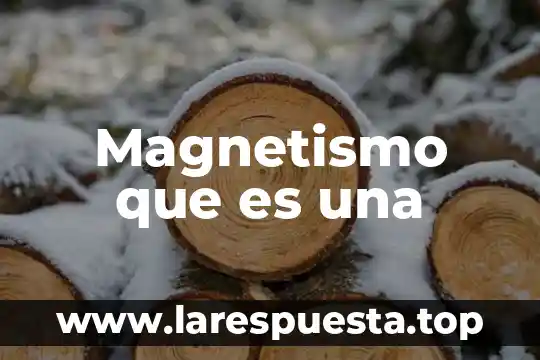 Que es magnetismo electricidad fisica 8 Magnetismo que es una
