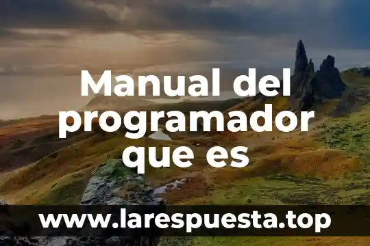 Que es ser un programador en android 4 Manual del programador que es