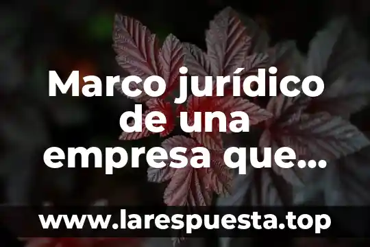 Que es cecretarse diccionario juridico 6 Marco jurídico de una empresa que es