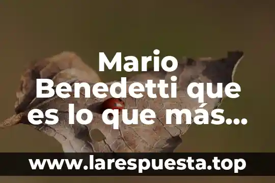 Que es escribir acorde a la autora camila ferreyra 5 Mario Benedetti que es lo que más le gustaba escribir