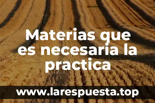 Que es la practica educativa segun van manem 3 Materias que es necesaria la practica