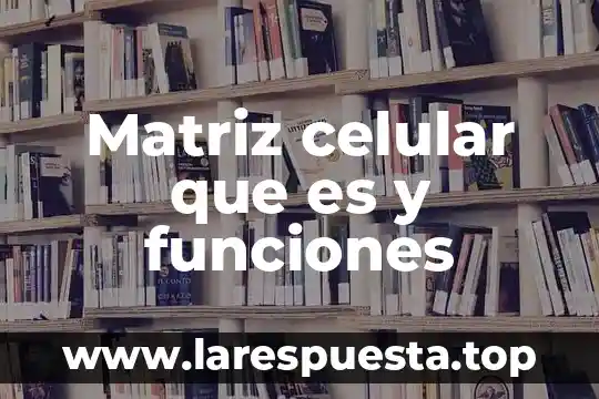 Que es una matriz para areas clave 8 Matriz celular que es y funciones