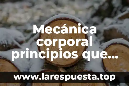 Qué es el control mecánica 8 Mecánica corporal principios que es y tipos