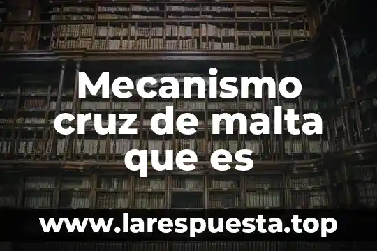 Mecanismo cruz de malta que es