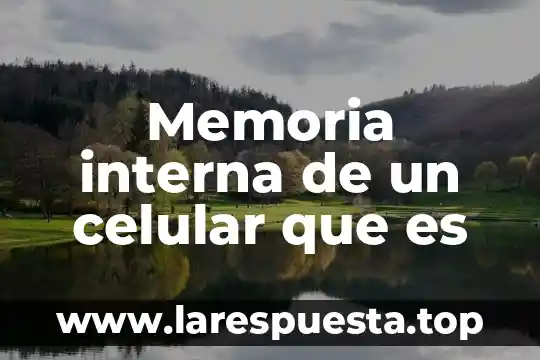 Memoria interna de un celular que es