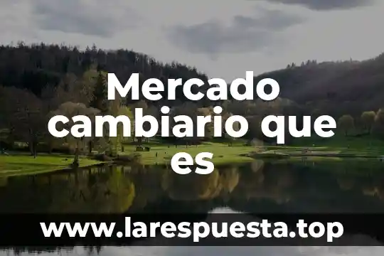 Que es el sentimiento de mercado 8 Mercado cambiario que es