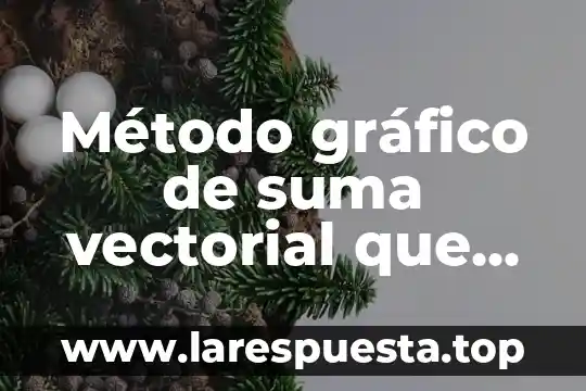 Que es diseñopo grafico 5 Método gráfico de suma vectorial que es